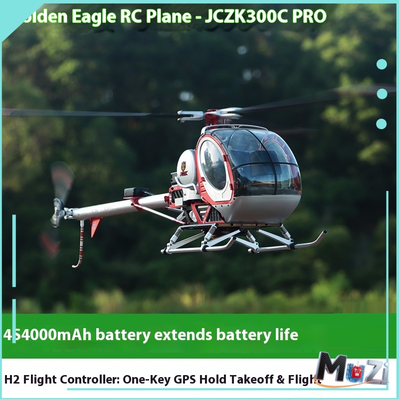Schweizer Jczk 300C Helicopter - Rc Helicopter Hobby Grade recensione e prezzo